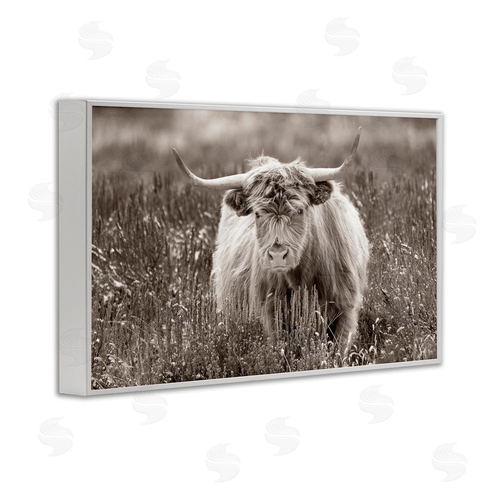 Steve Smith A Field & Cattle White Framed Giclee Wall Art Print
