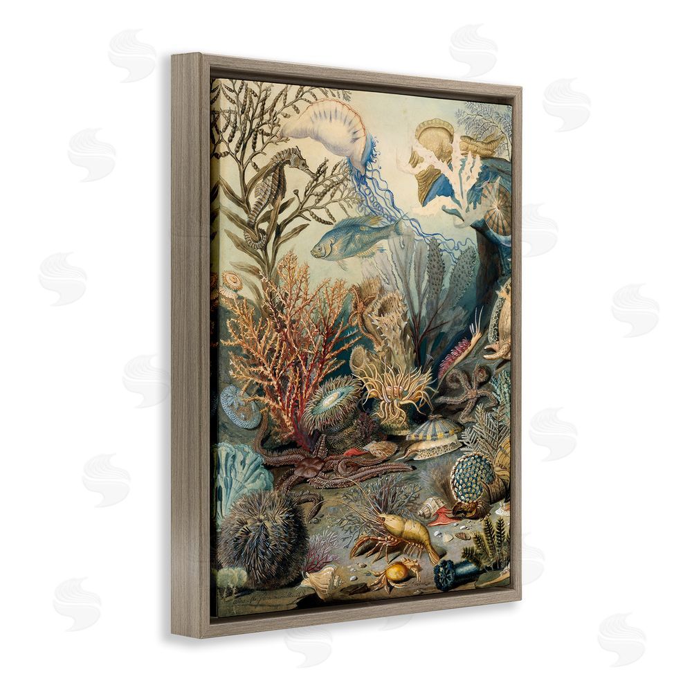 Lil' Rue Aquatic Creatures & Fauna Brown Floating Frame Canvas Wall Art Print