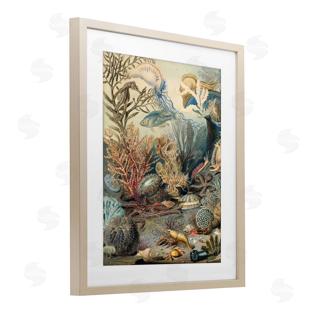 Lil' Rue Aquatic Creatures & Fauna Brown Framed Print Under Glass Wall Art