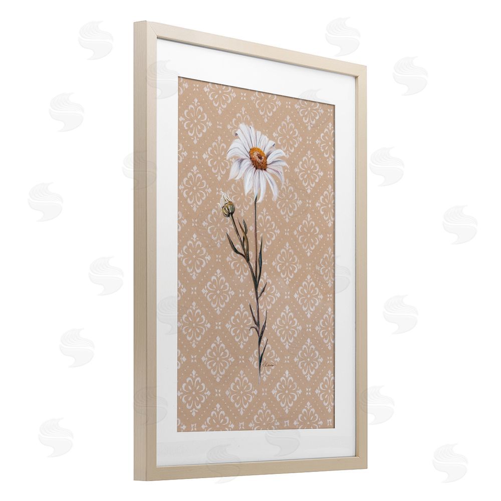 Cady Driver Boho Sprig of Daisy Brown Framed Print Under Glass Wall Art