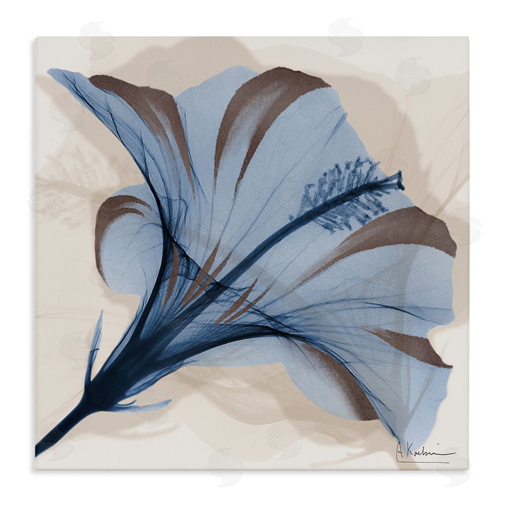 Albert Koetsier Blooming Sapphire Flower Stretched Canvas Wall Art Print
