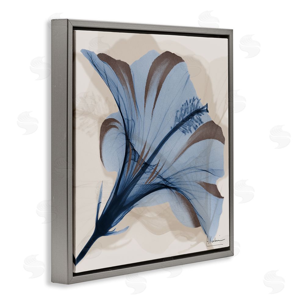 Albert Koetsier Blooming Sapphire Flower Gray Floating Frame Canvas Wall Art Print