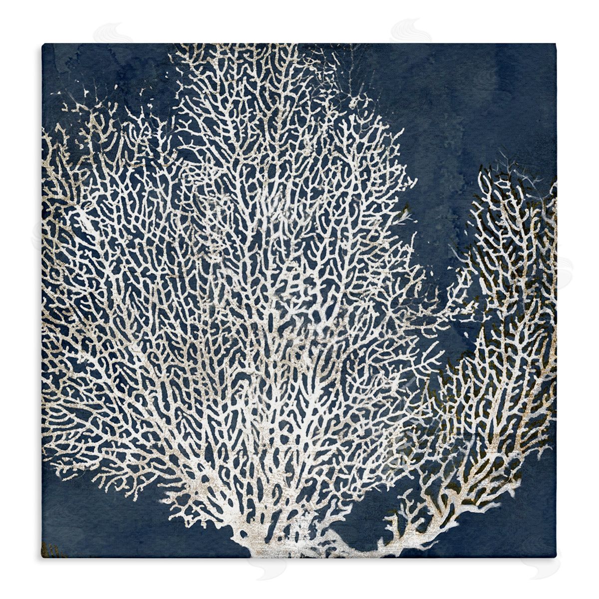 stupell industries Main Line Studio | Sea Coral Ocean Life Silhouette