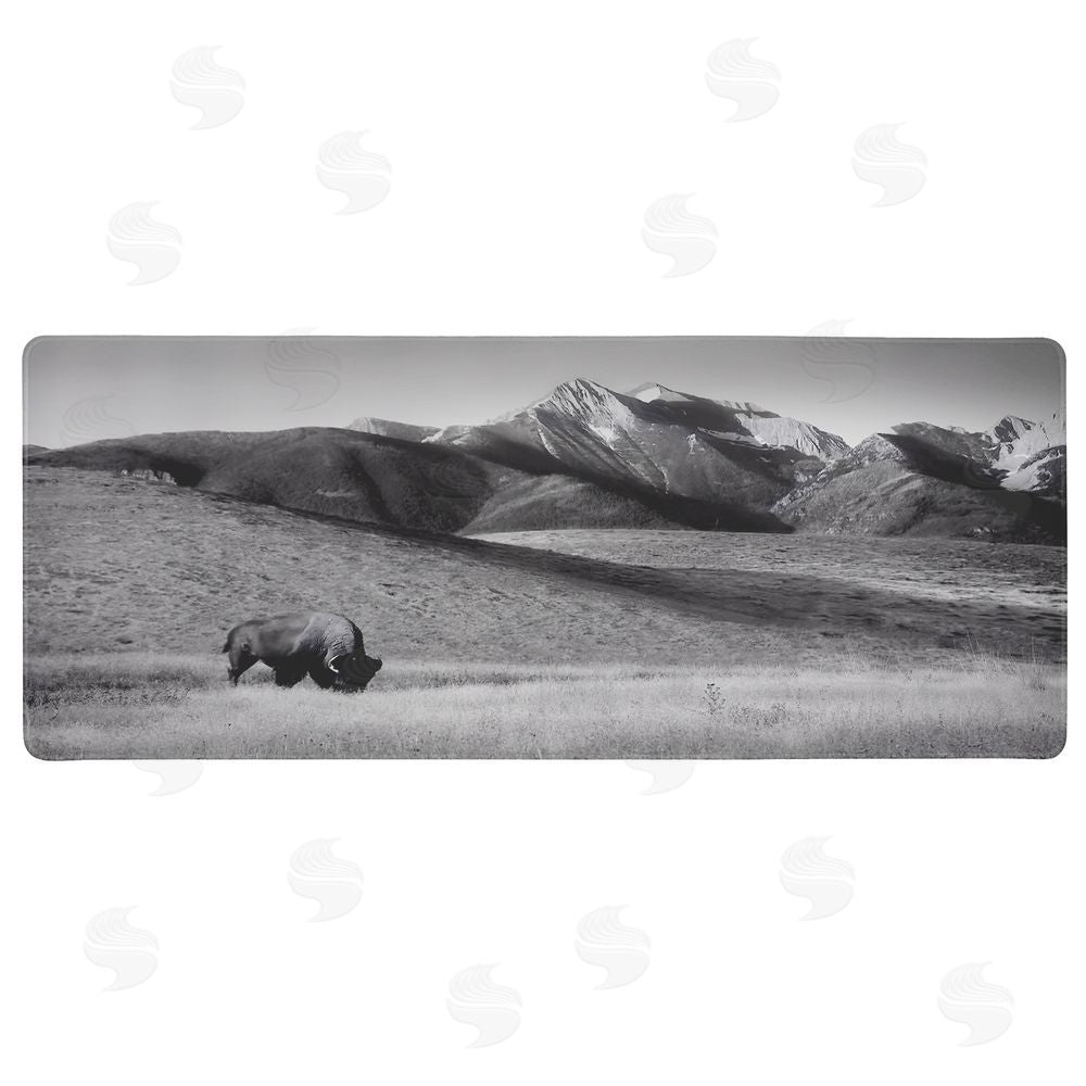 Steve Toole Bison Grazing Serene Grassland