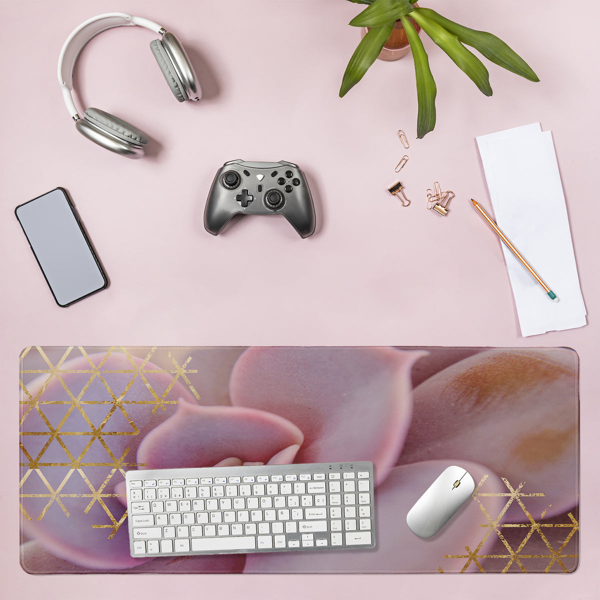 Lil' Rue Ombre Succulent with Geometric Pattern