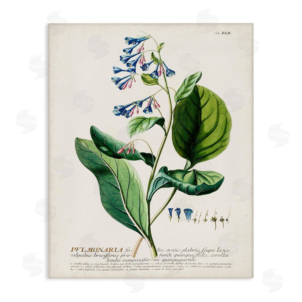 Botanical Blue Flowers Vintage Design Canvas Wall Art, Home Decor by Unknown