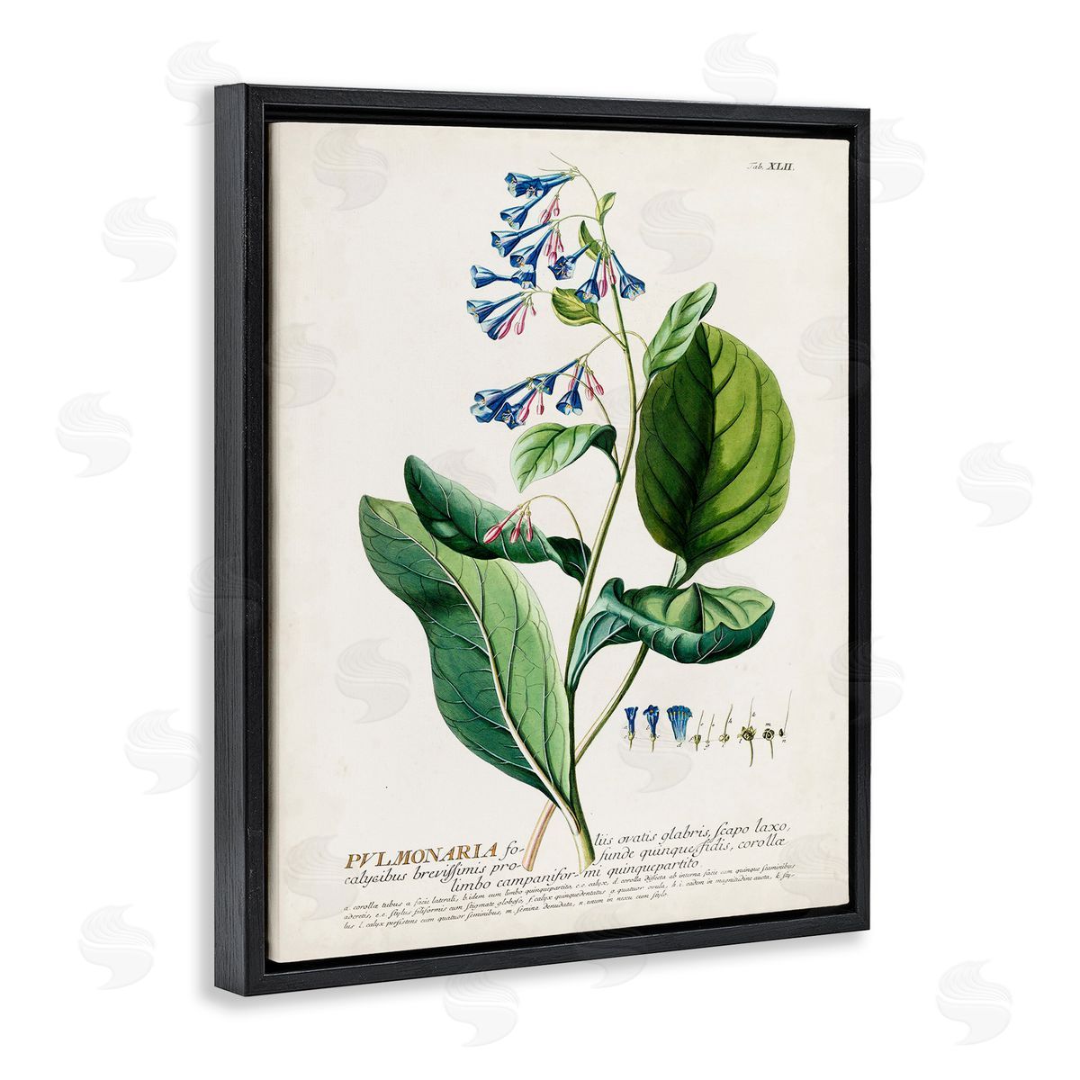 Botanical Blue Flowers Vintage Design Black Floating Frame Canvas Wall Art, Home Decor by Unknown