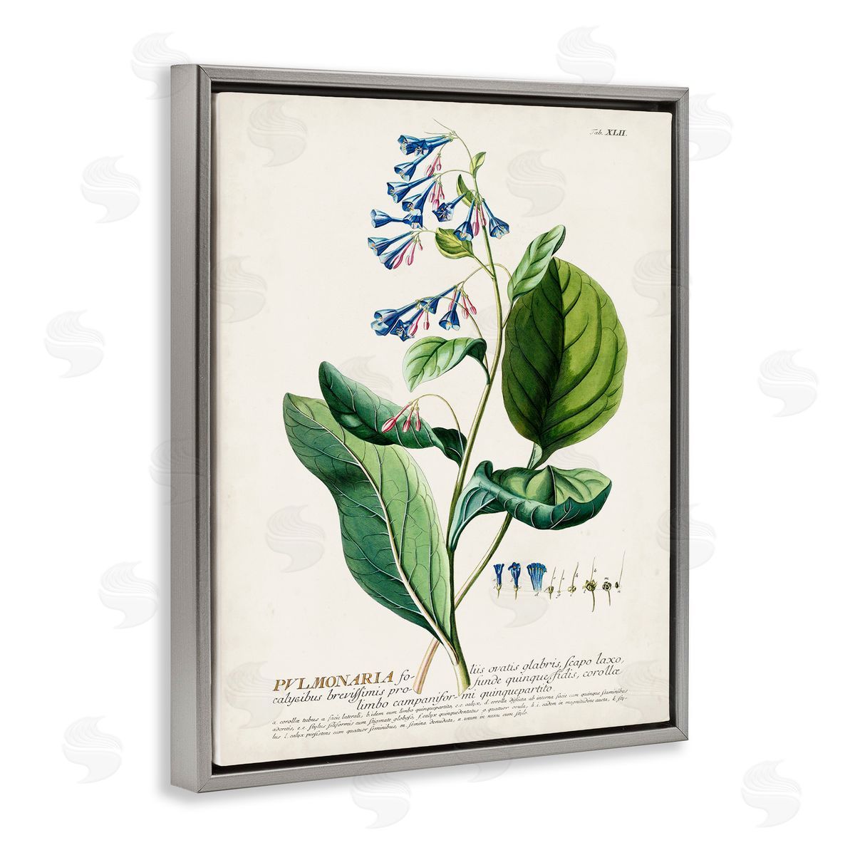 Botanical Blue Flowers Vintage Design Grey Floating Frame Canvas Wall Art, Home Decor by Unknown