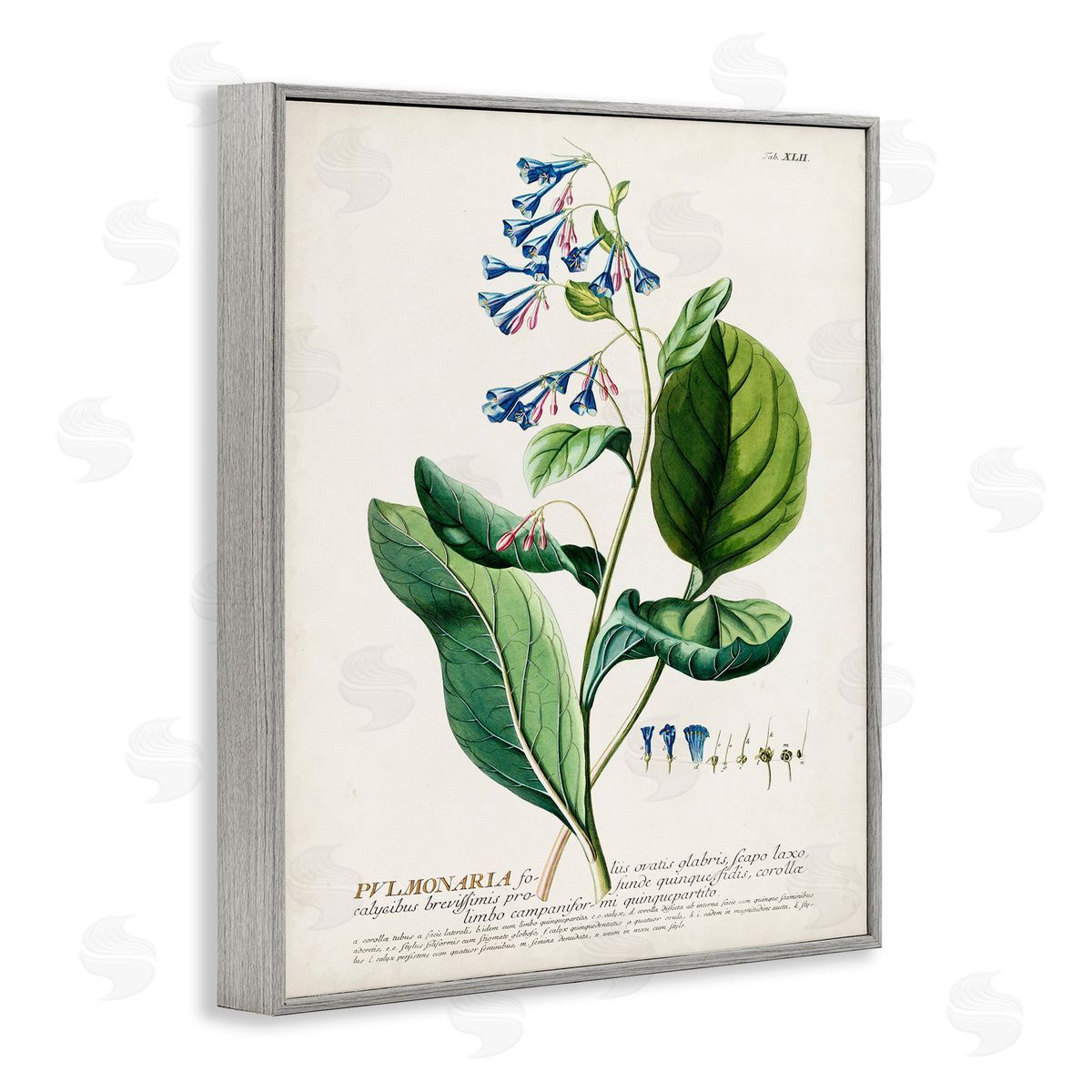 Botanical Blue Flowers Vintage Design Grey Frame Print Wall Art, Home Decor by Unknown