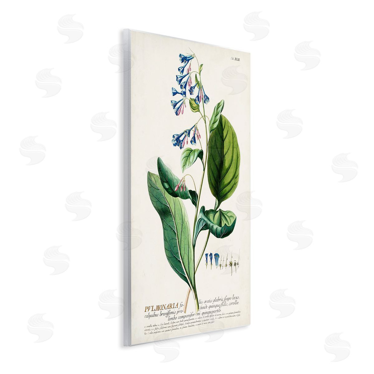 Botanical Blue Flowers Vintage Design Wood Plaque Wall Art, Home Decor by Unknown