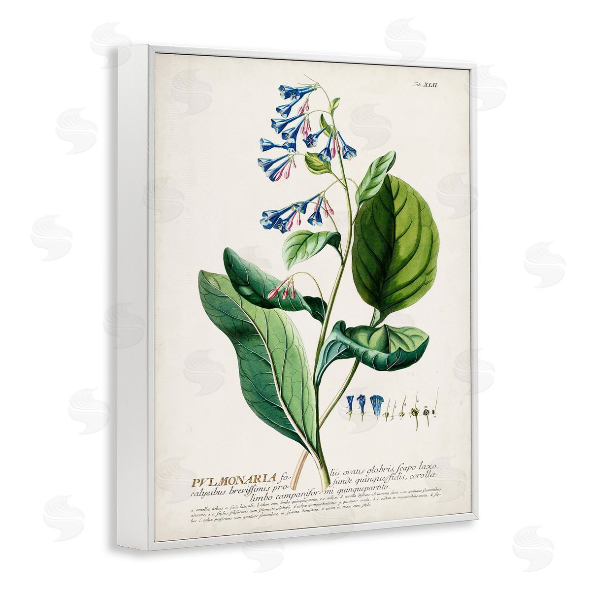 Botanical Blue Flowers Vintage Design White Frame Print Wall Art, Home Decor by Unknown