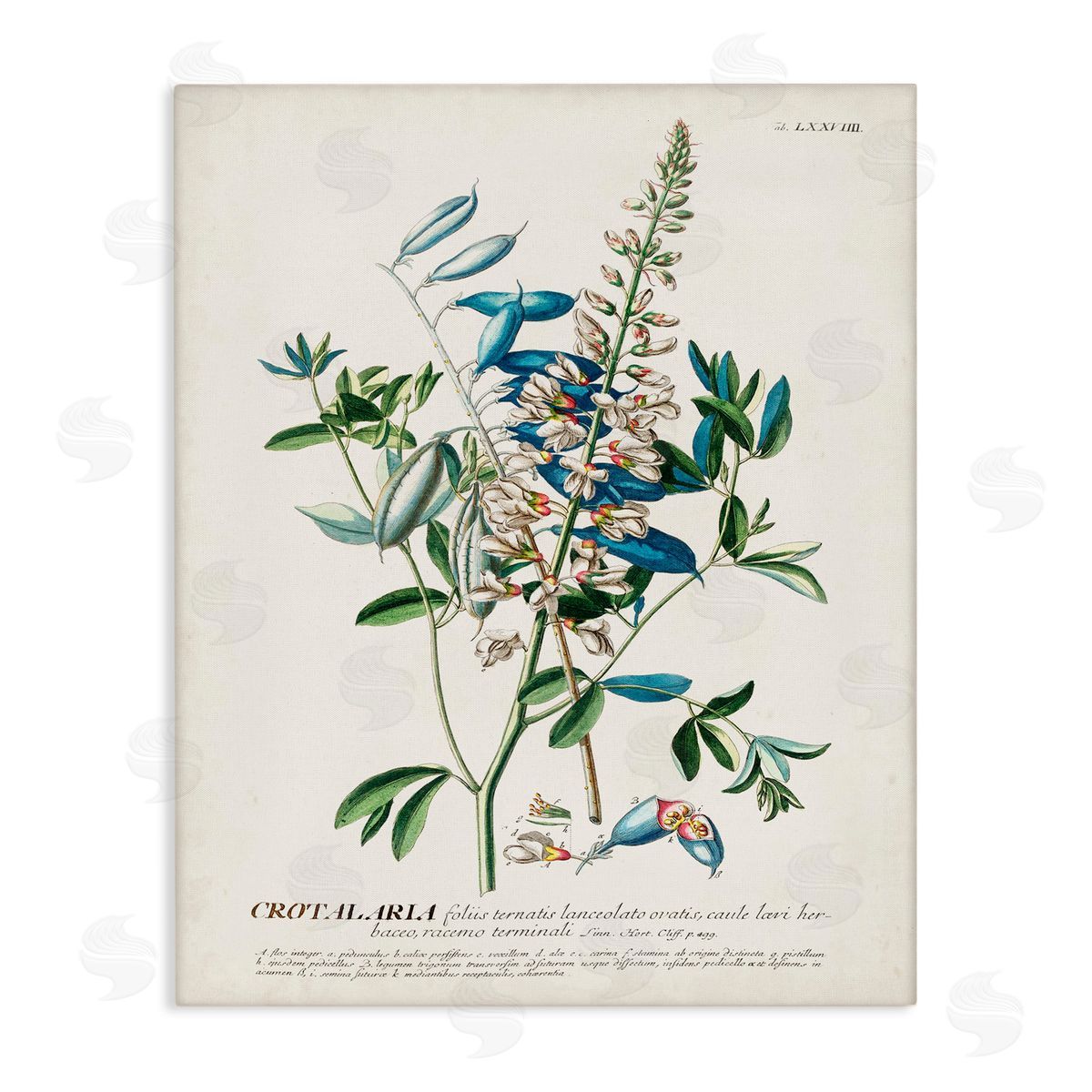 Flowers And Leaves Vintage Design Canvas Wall Art, Home Decor by Unknown