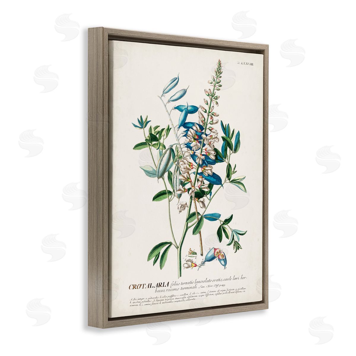 Flowers And Leaves Vintage Design Brown Floating Frame Canvas Wall Art, Home Decor by Unknown