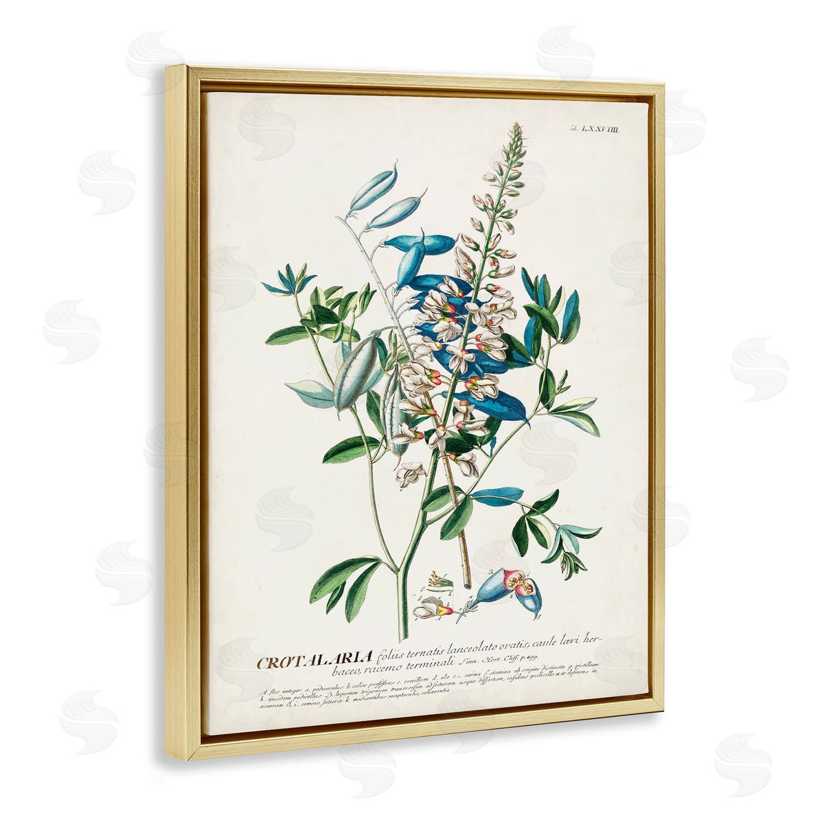 Flowers And Leaves Vintage Design Gold Floating Frame Canvas Wall Art, Home Decor by Unknown