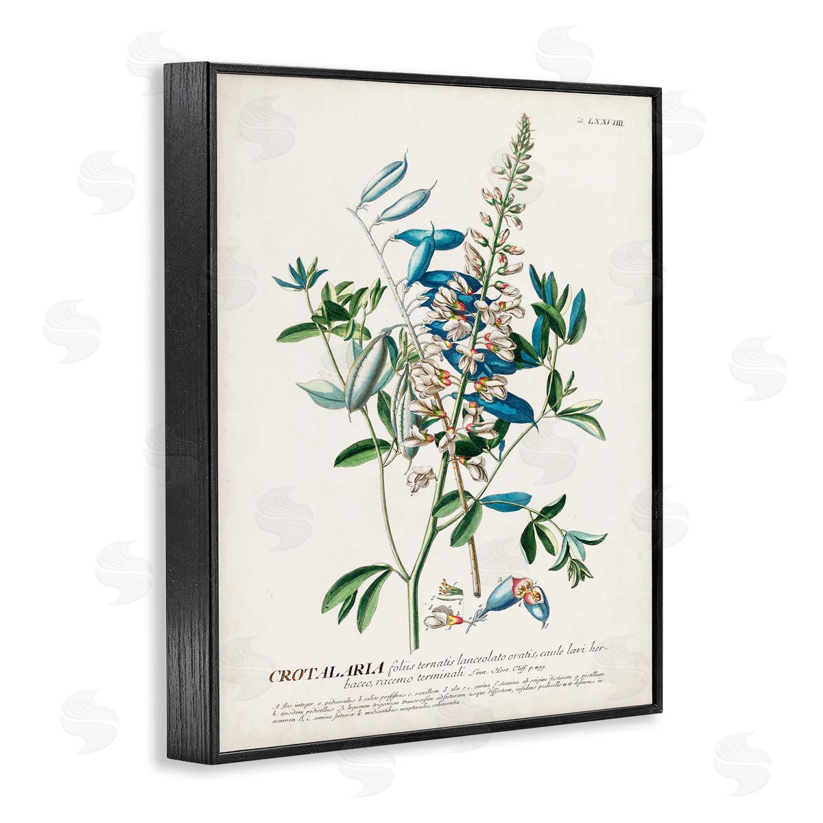 Flowers And Leaves Vintage Design Black Frame Print Wall Art, Home Decor by Unknown