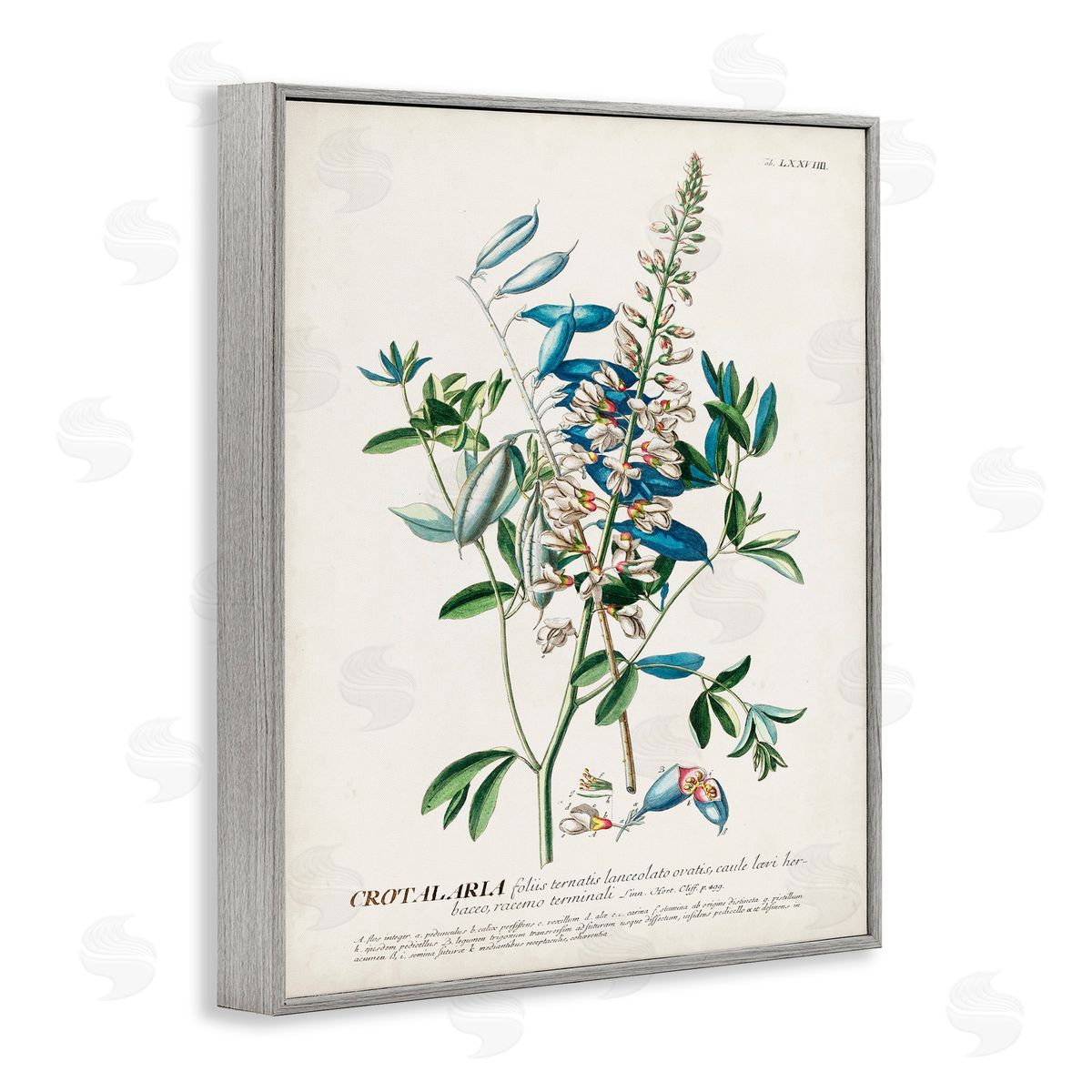 Flowers And Leaves Vintage Design Grey Frame Print Wall Art, Home Decor by Unknown