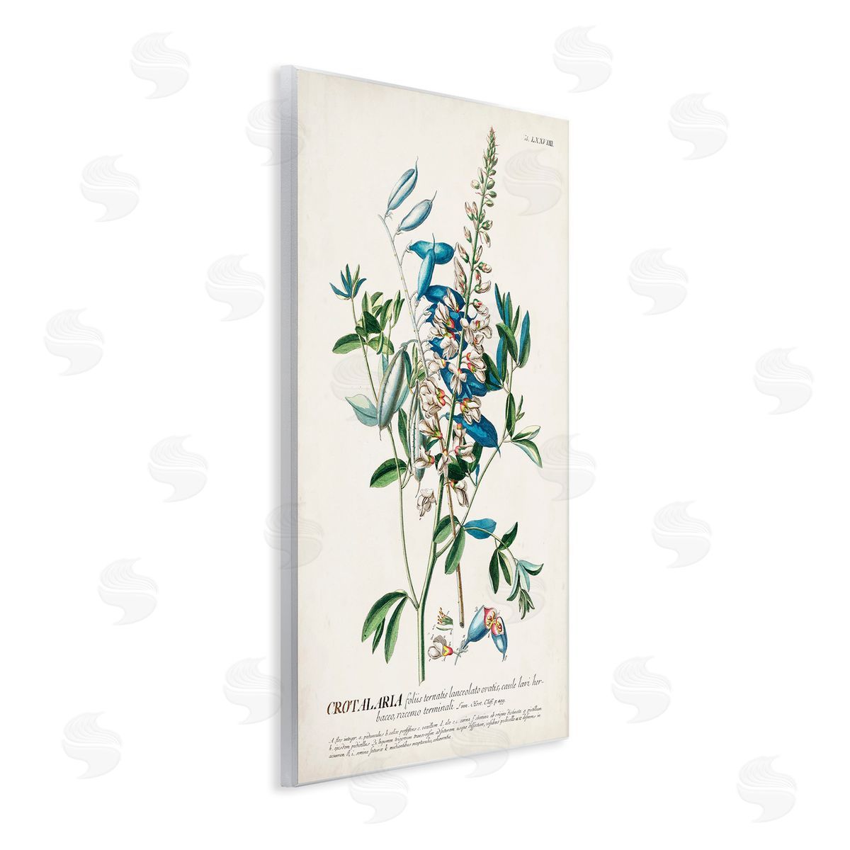 Flowers And Leaves Vintage Design Wood Plaque Wall Art, Home Decor by Unknown