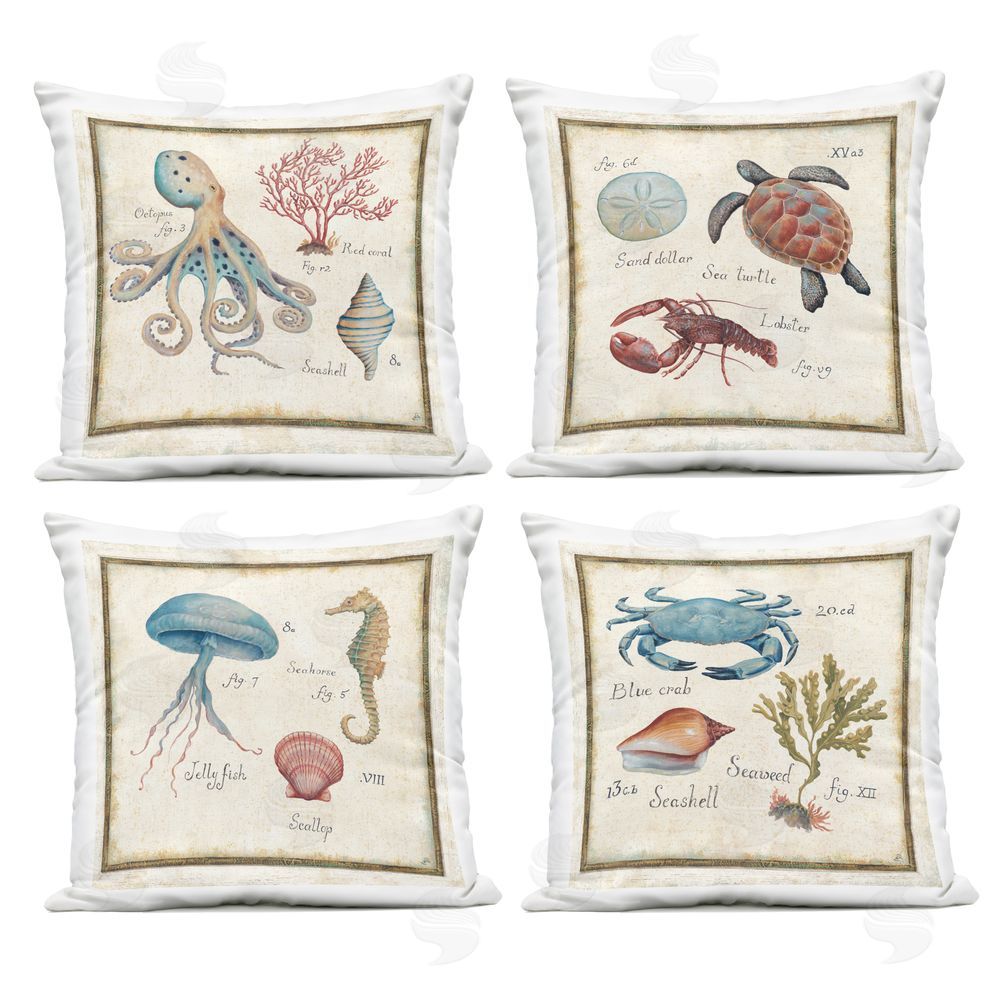 Daphne Brissonnet Vintage Oceanography Creatures Outdoor Quick-Dry Polyester Square Throw Pillow