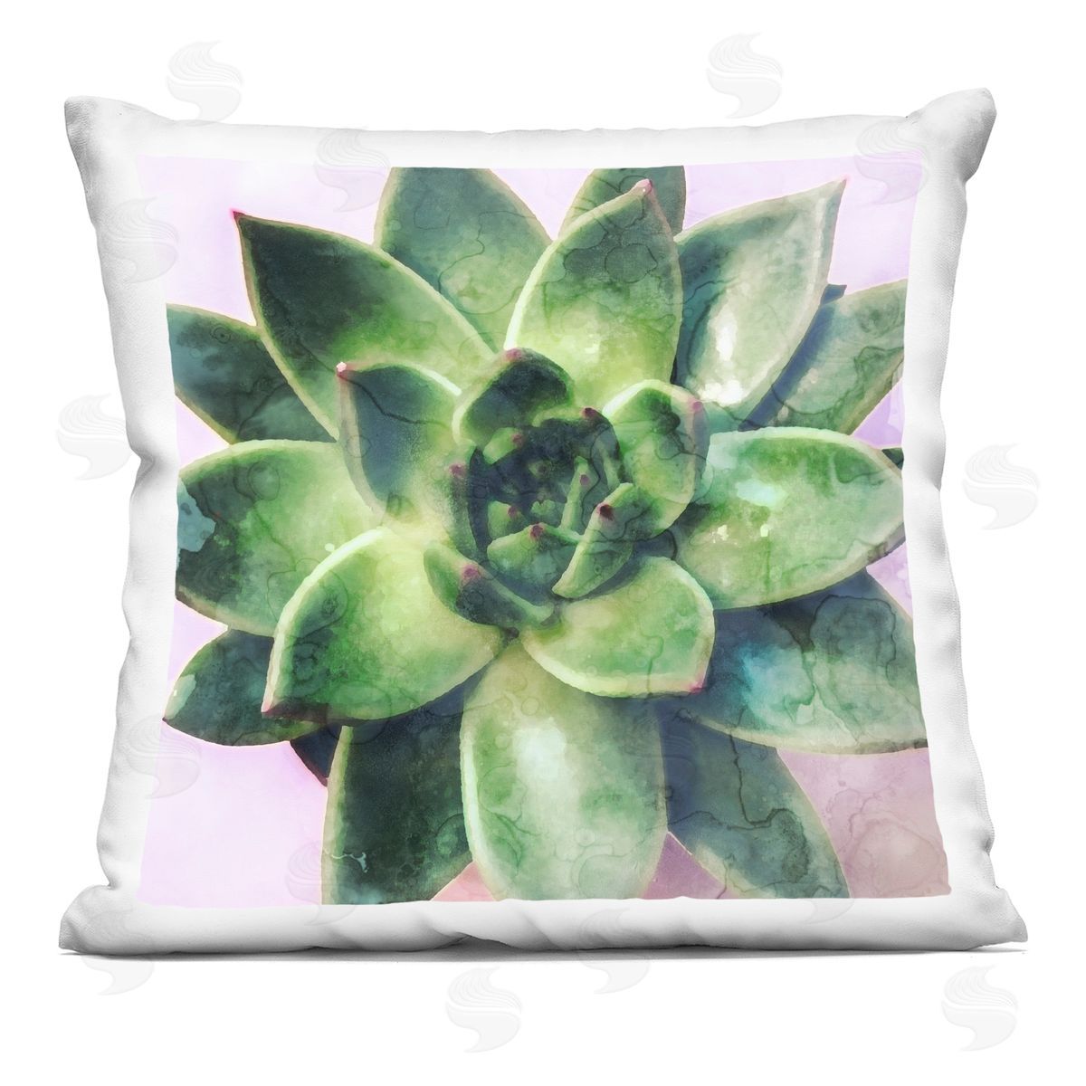 Lush Succulent Leaves Decorative Printed Pillow, Home Decor by Stupell Studio