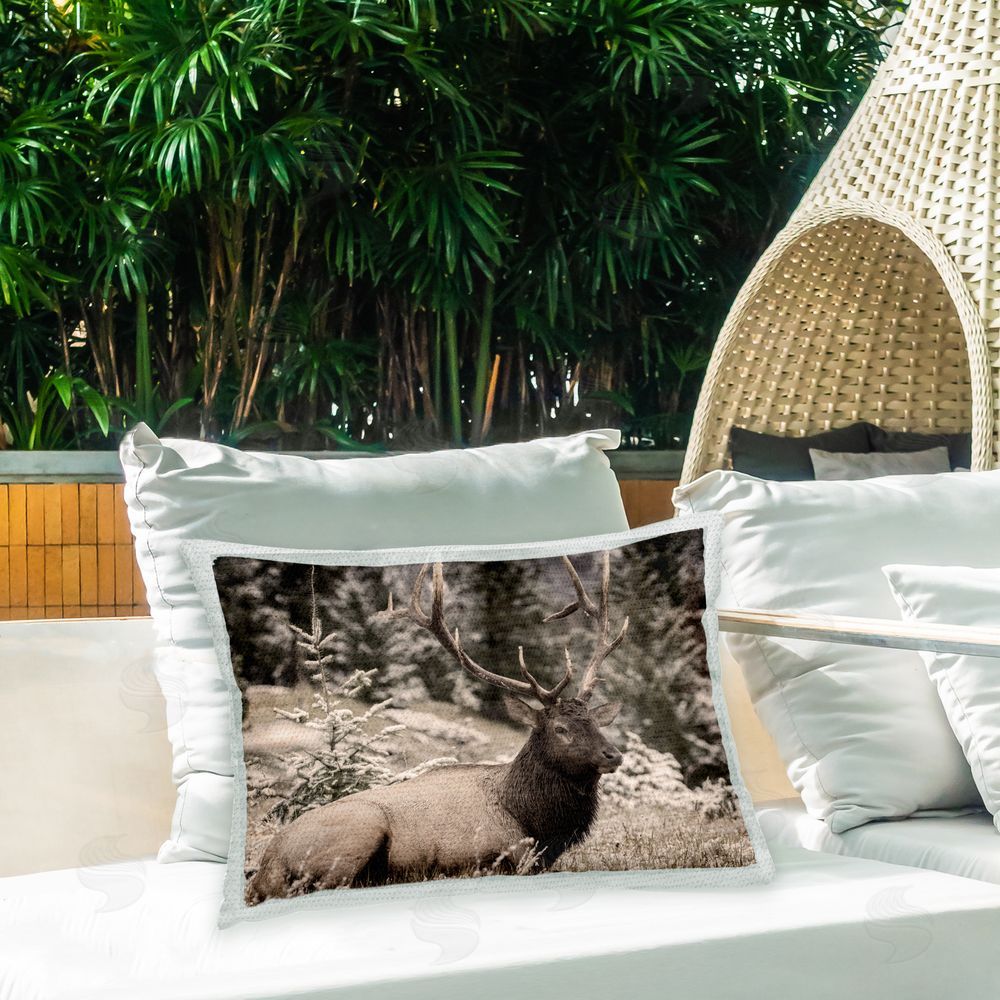 Kim Allen Forest Elk Portrait Outdoor Quick-Dry Polyester Printed Throw Pillow in Back Yard