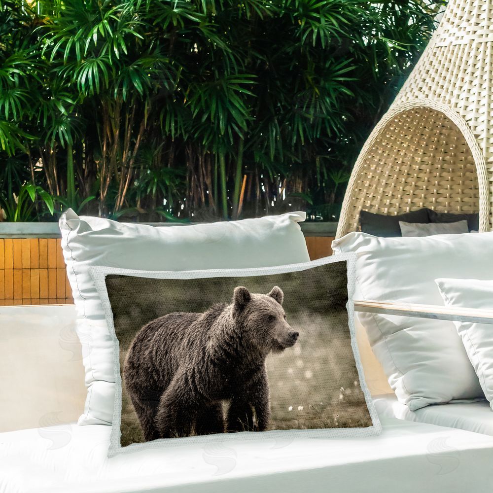 Kim Allen Wild Bear Portrait Outdoor Quick-Dry Polyester Printed Throw Pillow in Back Yard