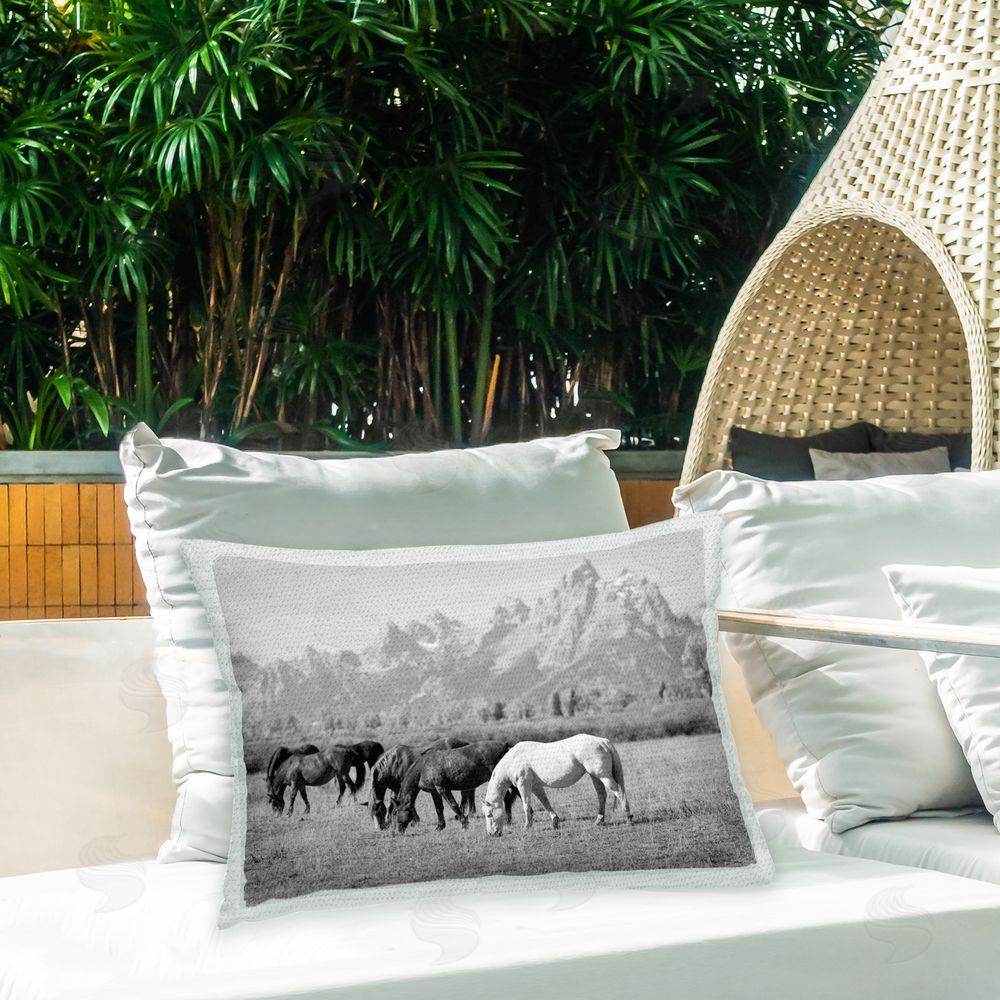 Daniel Sproul Horses & Mountain Ranch Outdoor Quick-Dry Polyester Printed Throw Pillow in Back Yard