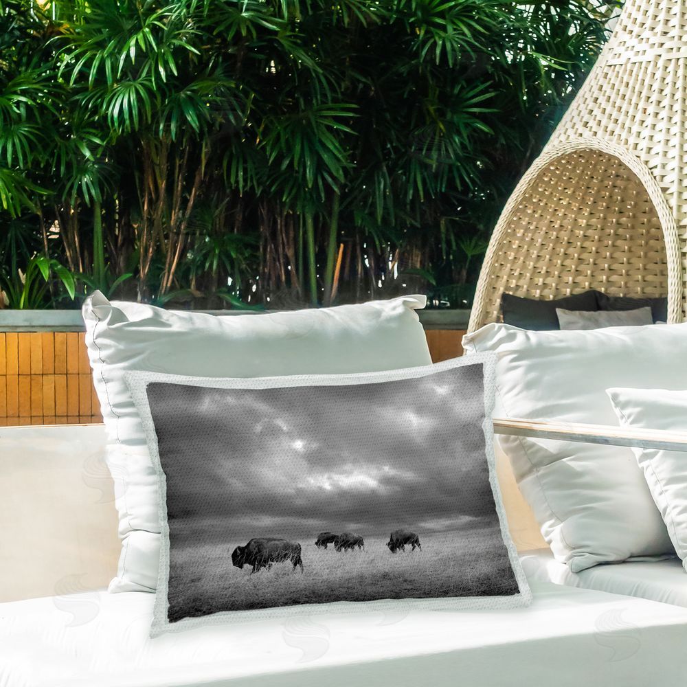 Steve Toole Cloudy Field & Bison Outdoor Quick-Dry Polyester Printed Throw Pillow in Back Yard