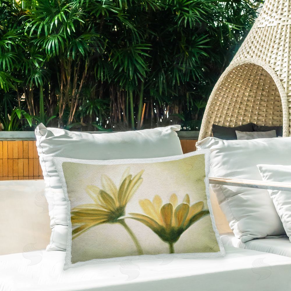 Massimo Valli Soft Daisies Close Up Outdoor Quick-Dry Polyester Printed Throw Pillow in Back Yard