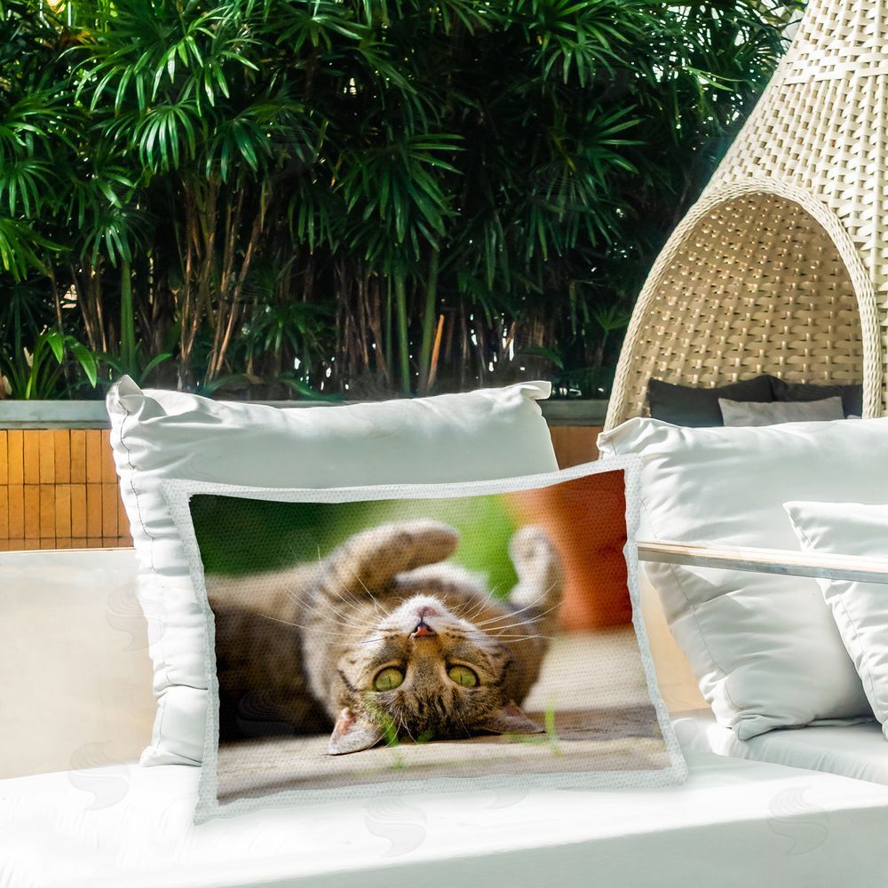 Jonathan Casey Cat Laying Upside Down Outdoor Quick-Dry Polyester Printed Throw Pillow in Back Yard