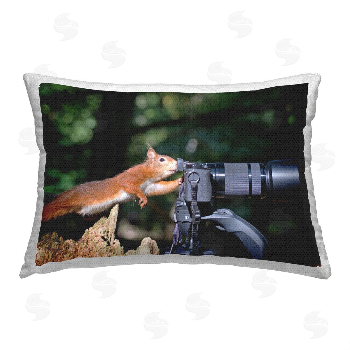 Julie Hunt Funny Photographer Squirrel Outdoor Quick-Dry Polyester Printed Throw Pillow