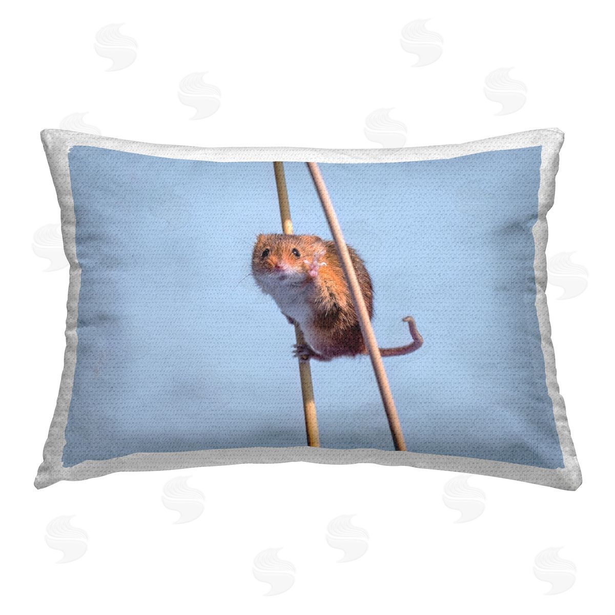 Michael Erwin Funny Balancing Mouse Outdoor Quick-Dry Polyester Printed Throw Pillow