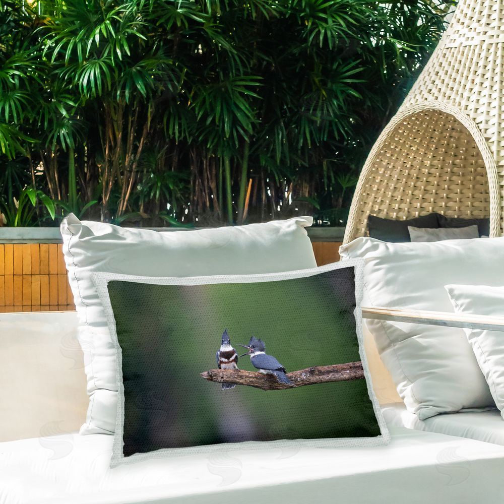 Christopher Schlaf Blue Jays on Branch Outdoor Quick-Dry Polyester Printed Throw Pillow in Back Yard