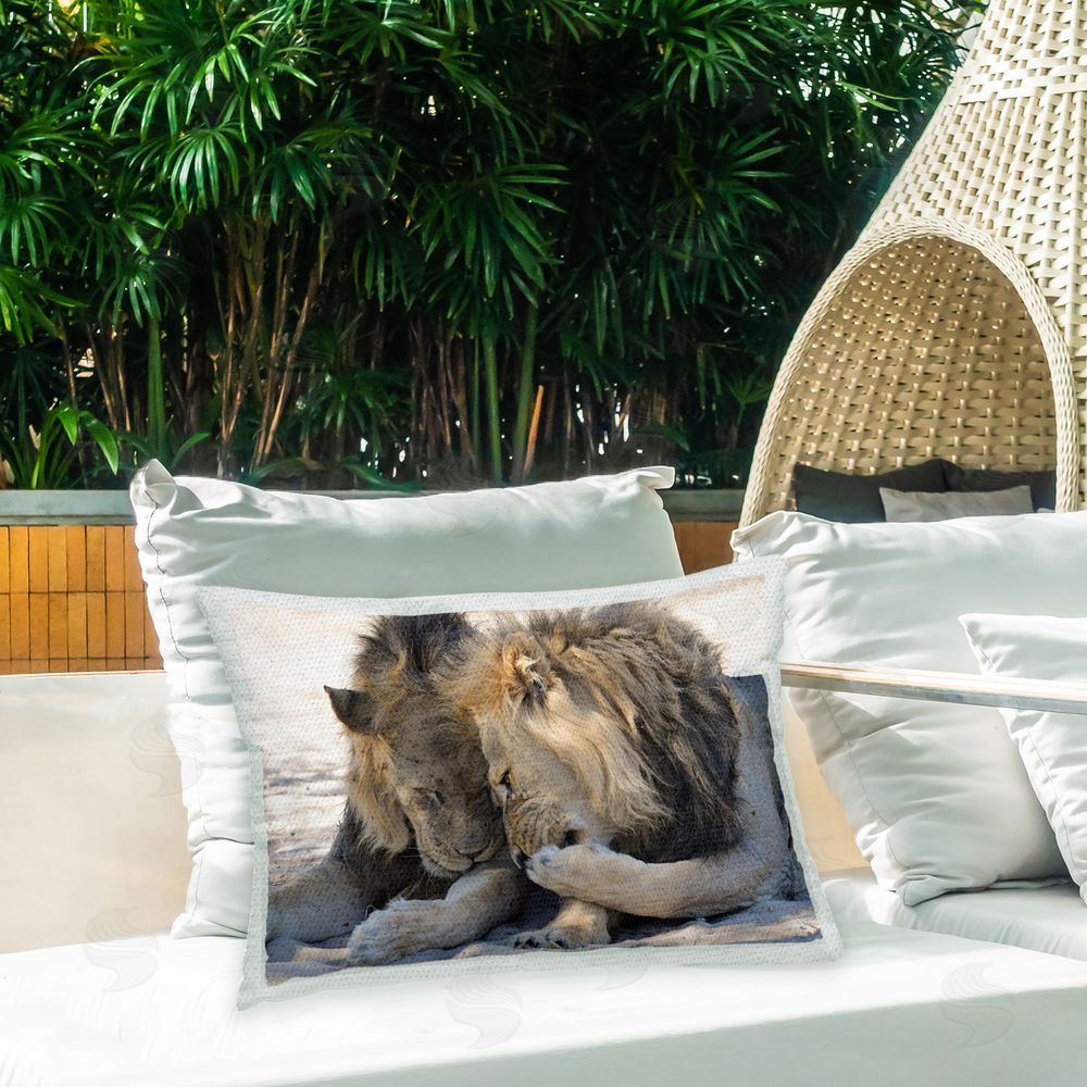 Bernhard Esterer Funny Gossiping Lions Outdoor Quick-Dry Polyester Printed Throw Pillow in Back Yard