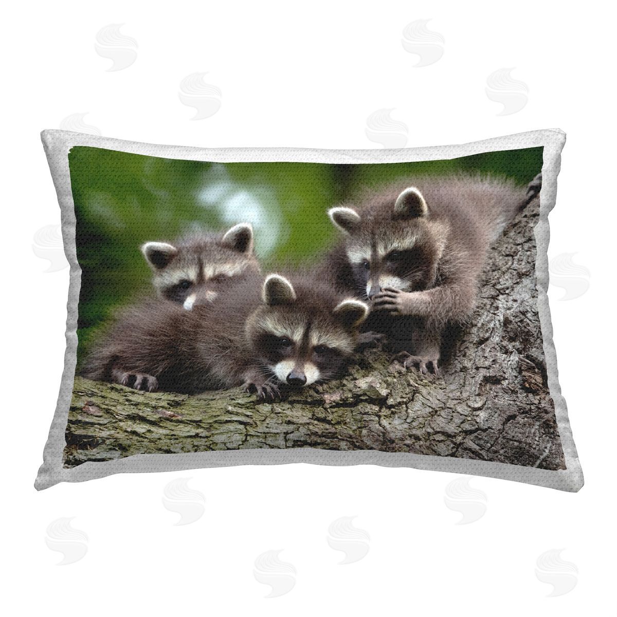 Jan Piecha Three Raccoon Cubs Outdoor Quick-Dry Polyester Printed Throw Pillow
