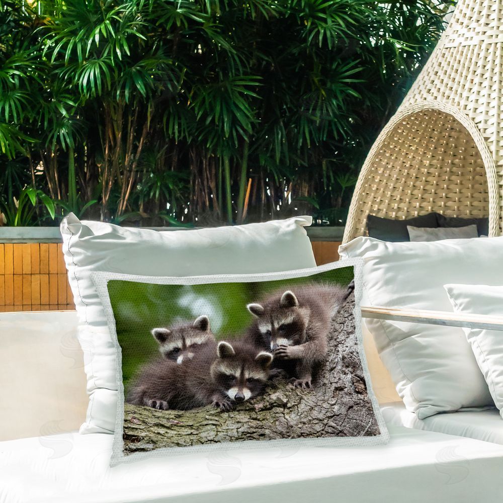 Jan Piecha Three Raccoon Cubs Outdoor Quick-Dry Polyester Printed Throw Pillow in Back Yard