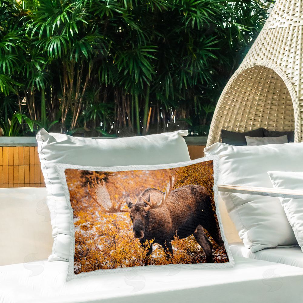 Daniel Sproul Moose Among Fall Foliage Outdoor Quick-Dry Polyester Printed Throw Pillow in Back Yard
