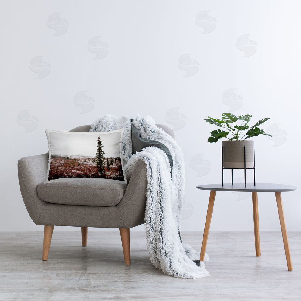 Daniel Sproul Snowy Mountain Valley Printed Plush Polyester Throw Pillow On Chair