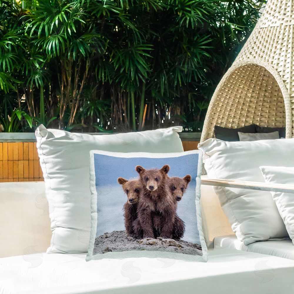 Paolo Mignosa Three Bear Cubs Outdoor Quick-Dry Polyester Printed Throw Pillow in Back Yard