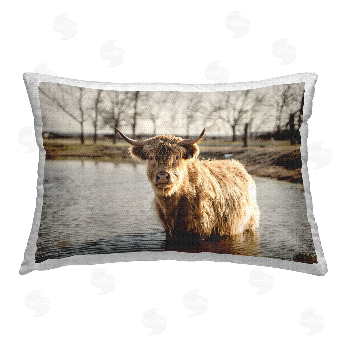 Dakota Diener Swimming Highland Cattle Outdoor Quick-Dry Polyester Printed Throw Pillow