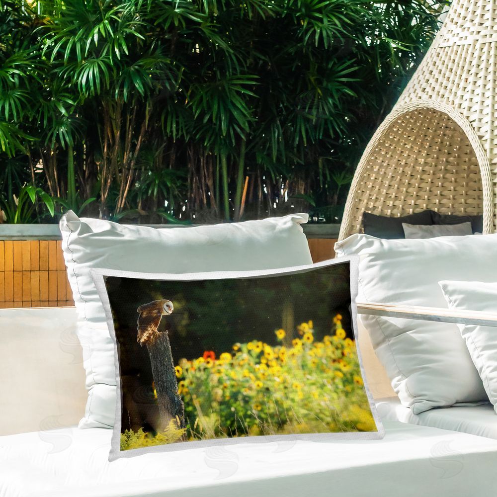 Carrie Ann Grippo-Pike Owl Perched in Meadow Outdoor Quick-Dry Polyester Printed Throw Pillow in Back Yard