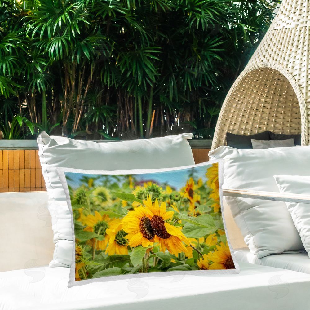 Carrie Ann Grippo-Pike Country Sunflower Garden Outdoor Quick-Dry Polyester Printed Throw Pillow in Back Yard
