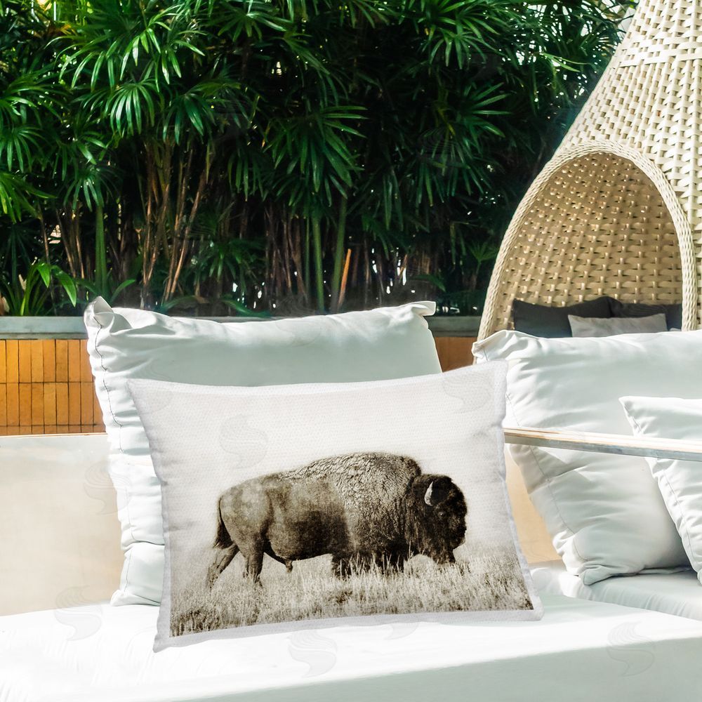Dan Meneely Bison Grazing in Field Outdoor Quick-Dry Polyester Printed Throw Pillow in Back Yard