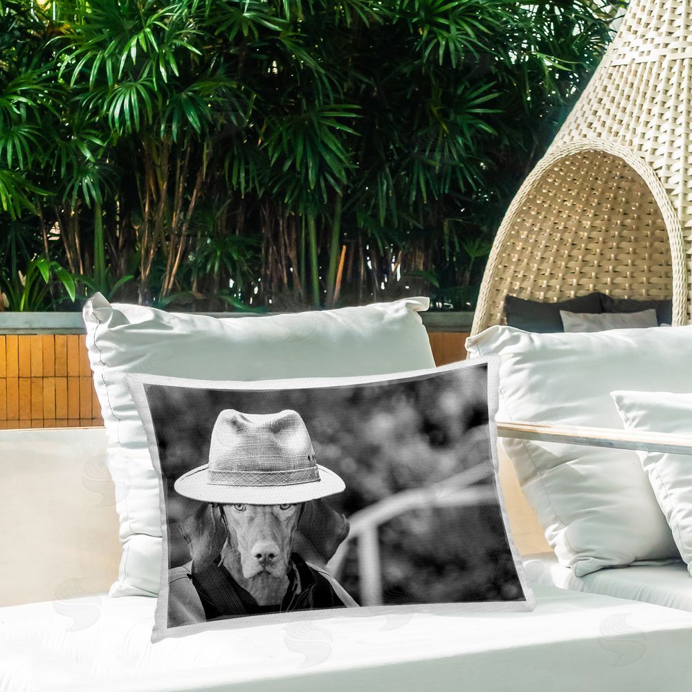 SD Graphics Studio Country Cowboy Dog Outdoor Quick-Dry Polyester Printed Throw Pillow in Back Yard