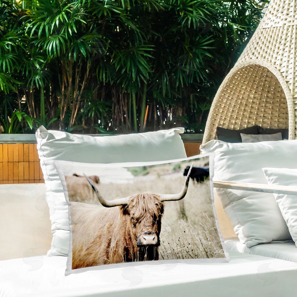 SD Graphics Studio Highland Cattle in Field Outdoor Quick-Dry Polyester Printed Throw Pillow in Back Yard
