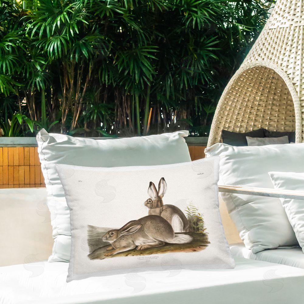 Wild Apple Portfolio Traditional Cottage Hare Outdoor Quick-Dry Polyester Printed Throw Pillow in Back Yard