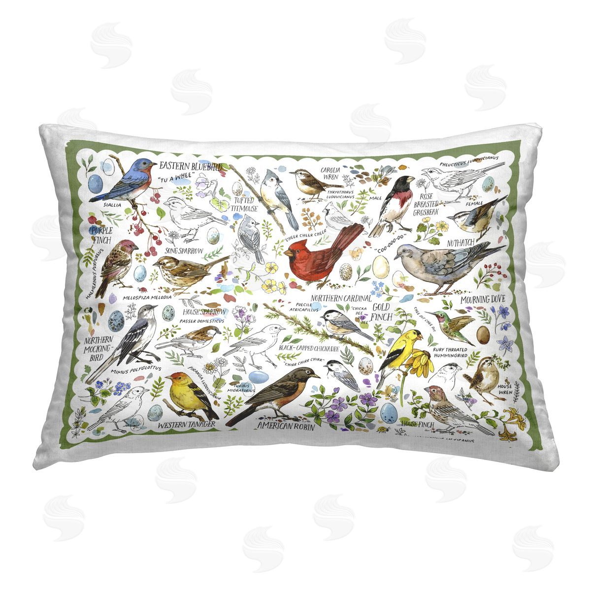 Jane Maday Various Bird Species Printed Plush Polyester Throw Pillow