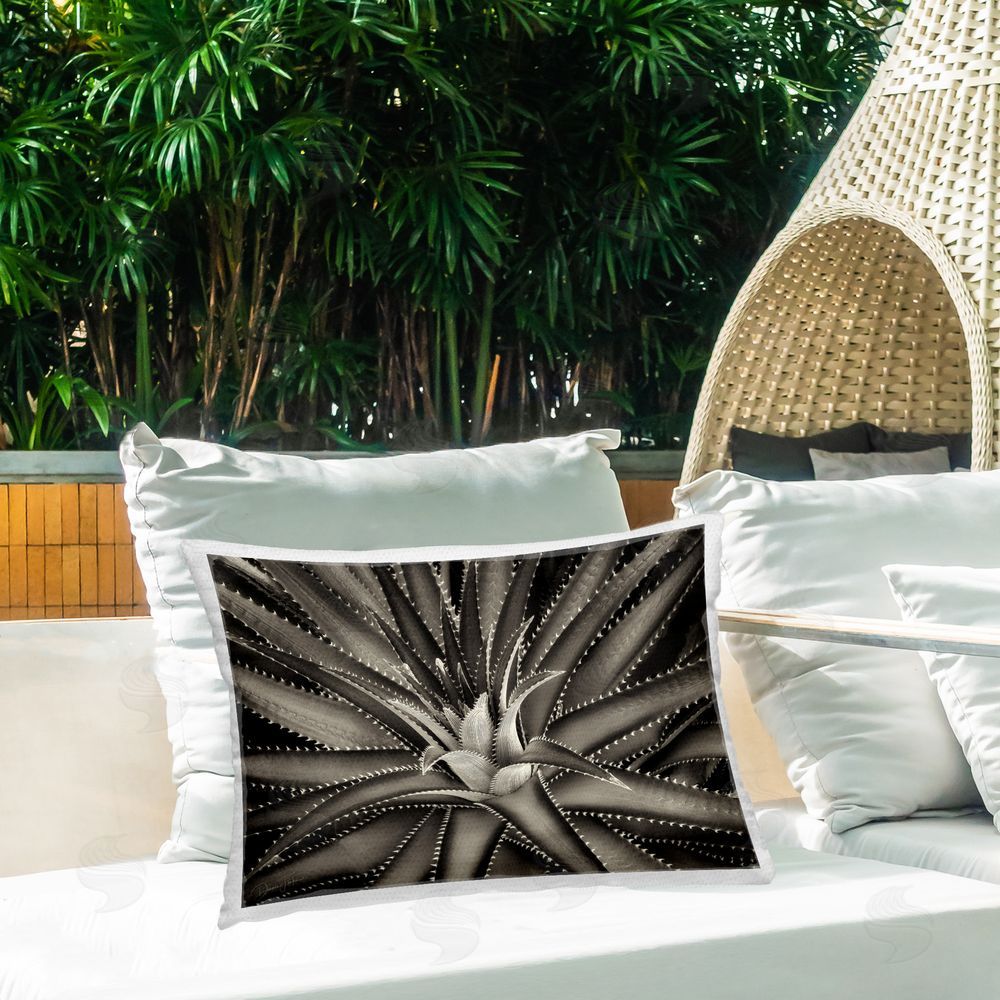 Dennis Frates Spikey Plant Leaves Outdoor Quick-Dry Polyester Printed Throw Pillow in Back Yard