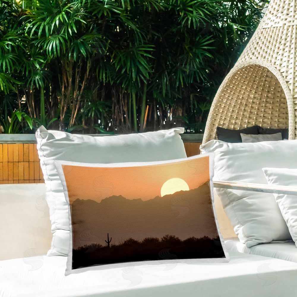 Dennis Frates Sunlit Desert Cactus Outdoor Quick-Dry Polyester Printed Throw Pillow in Back Yard