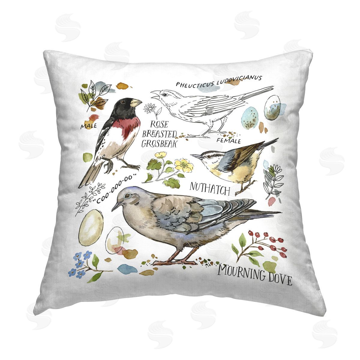 Jane Maday Bird Watching Diagram Printed Plush Polyester Throw Pillow