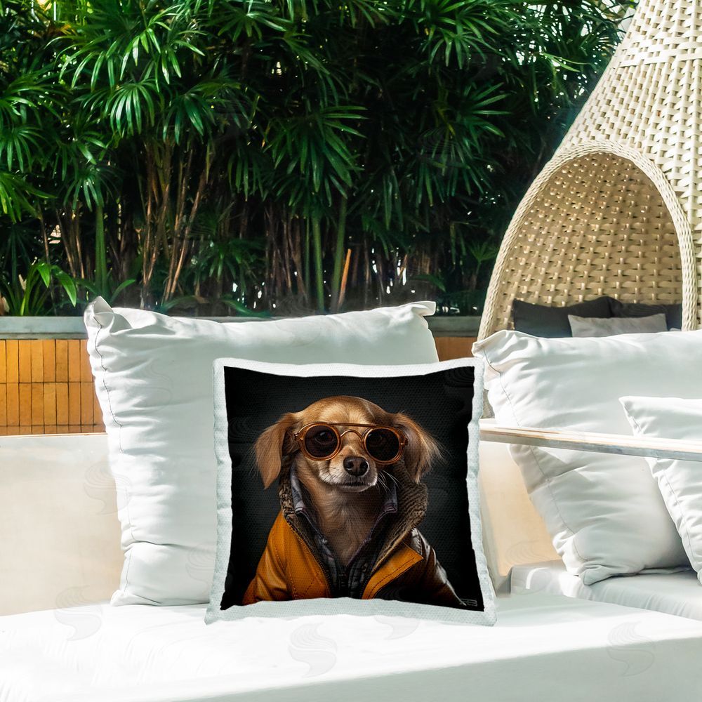 Roozbeh Bahramali Stylish Dog on Black Outdoor Quick-Dry Polyester Printed Throw Pillow in Back Yard